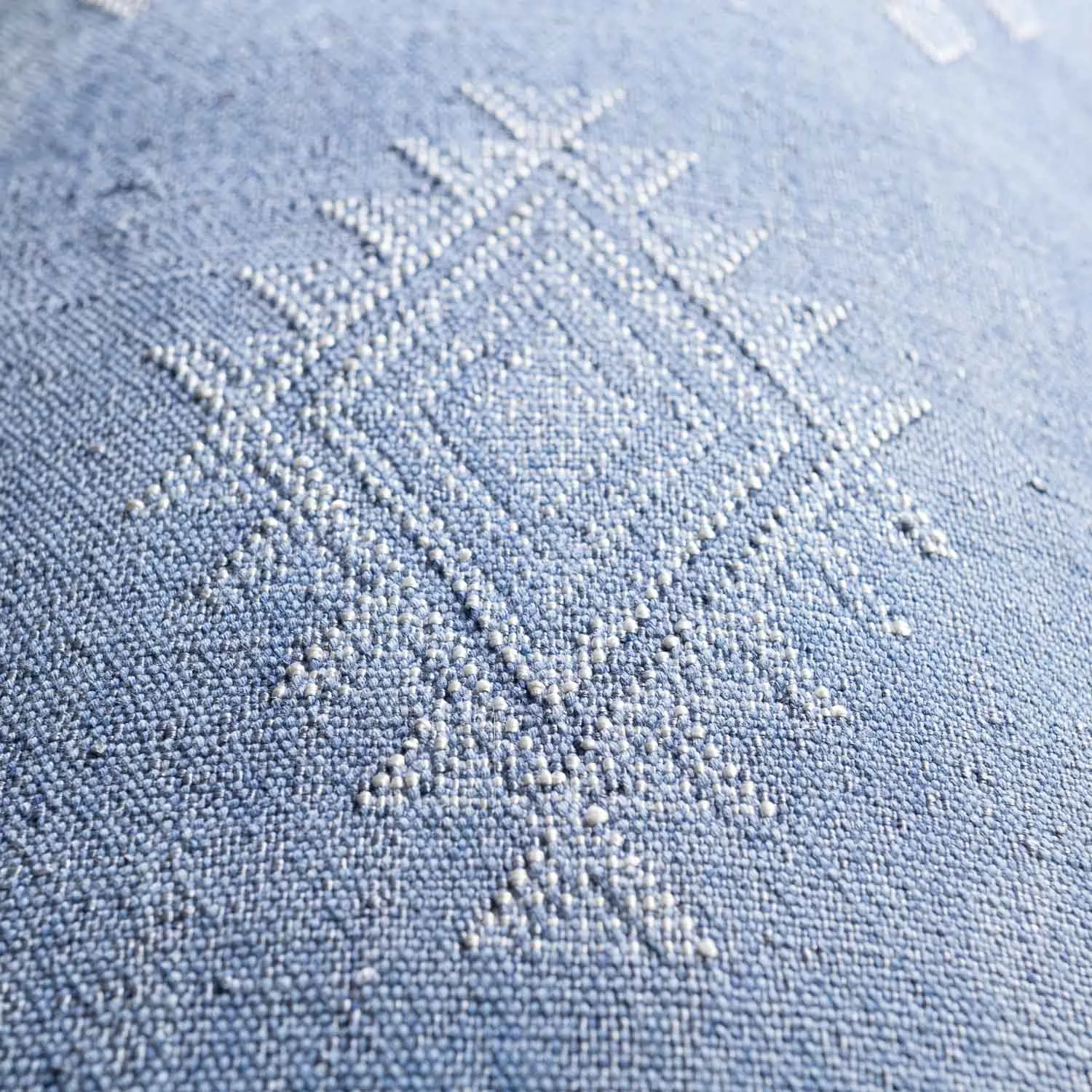 Blue Cactus silk pillow cover