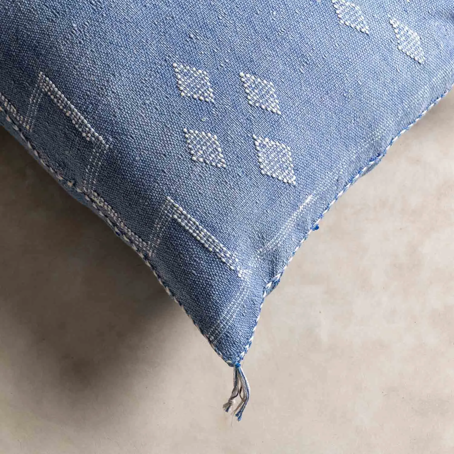 Blue Cactus silk pillow cover