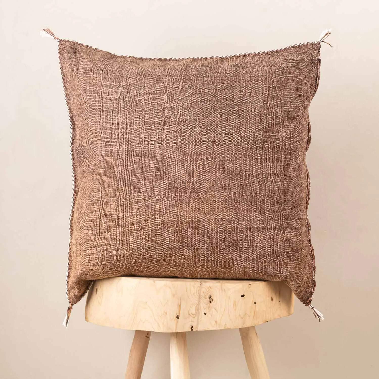 Brown Cactus silk pillow cover