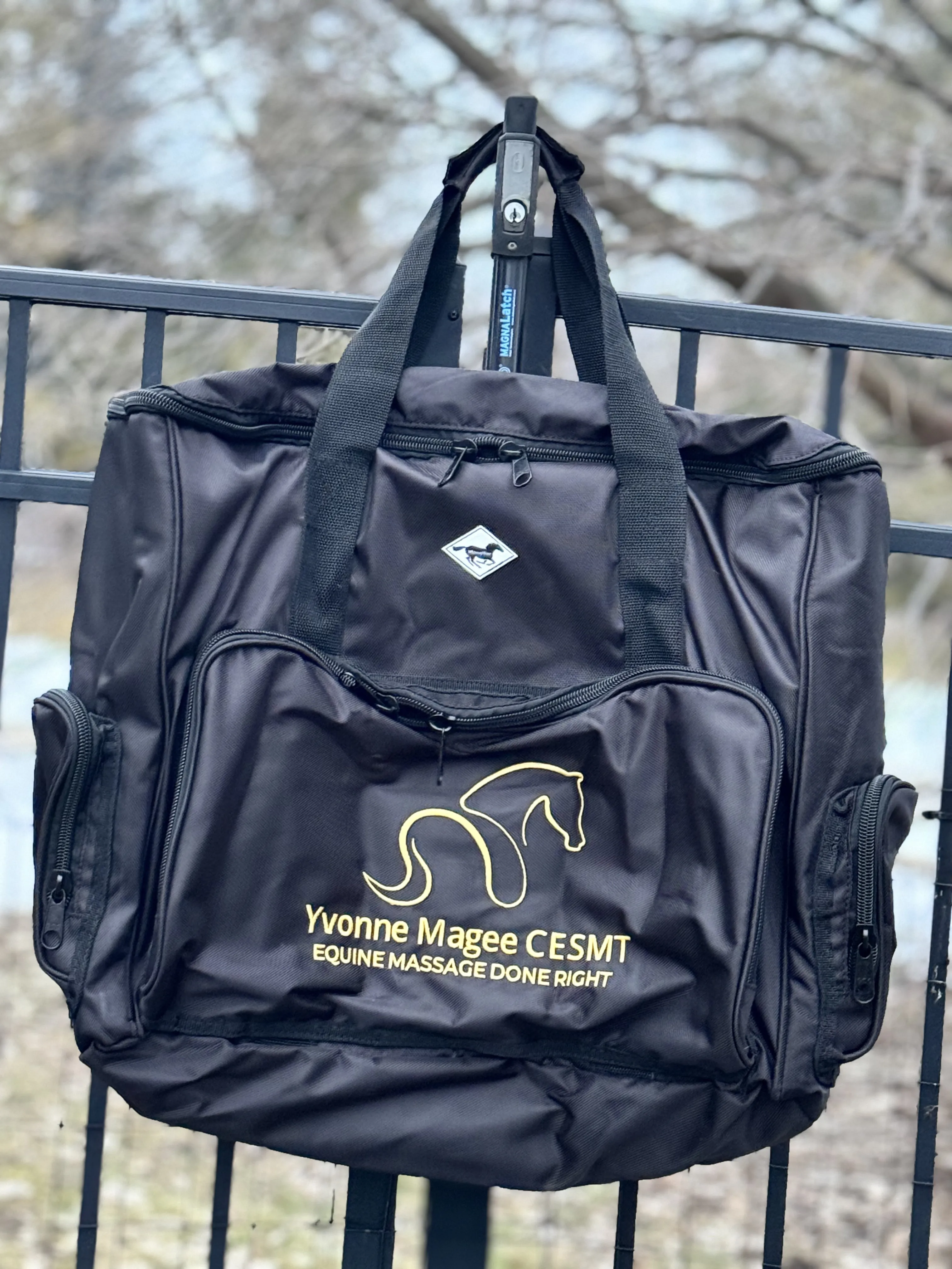 CUSTOM WhinneyOrganizer Bag: Rectangle Style