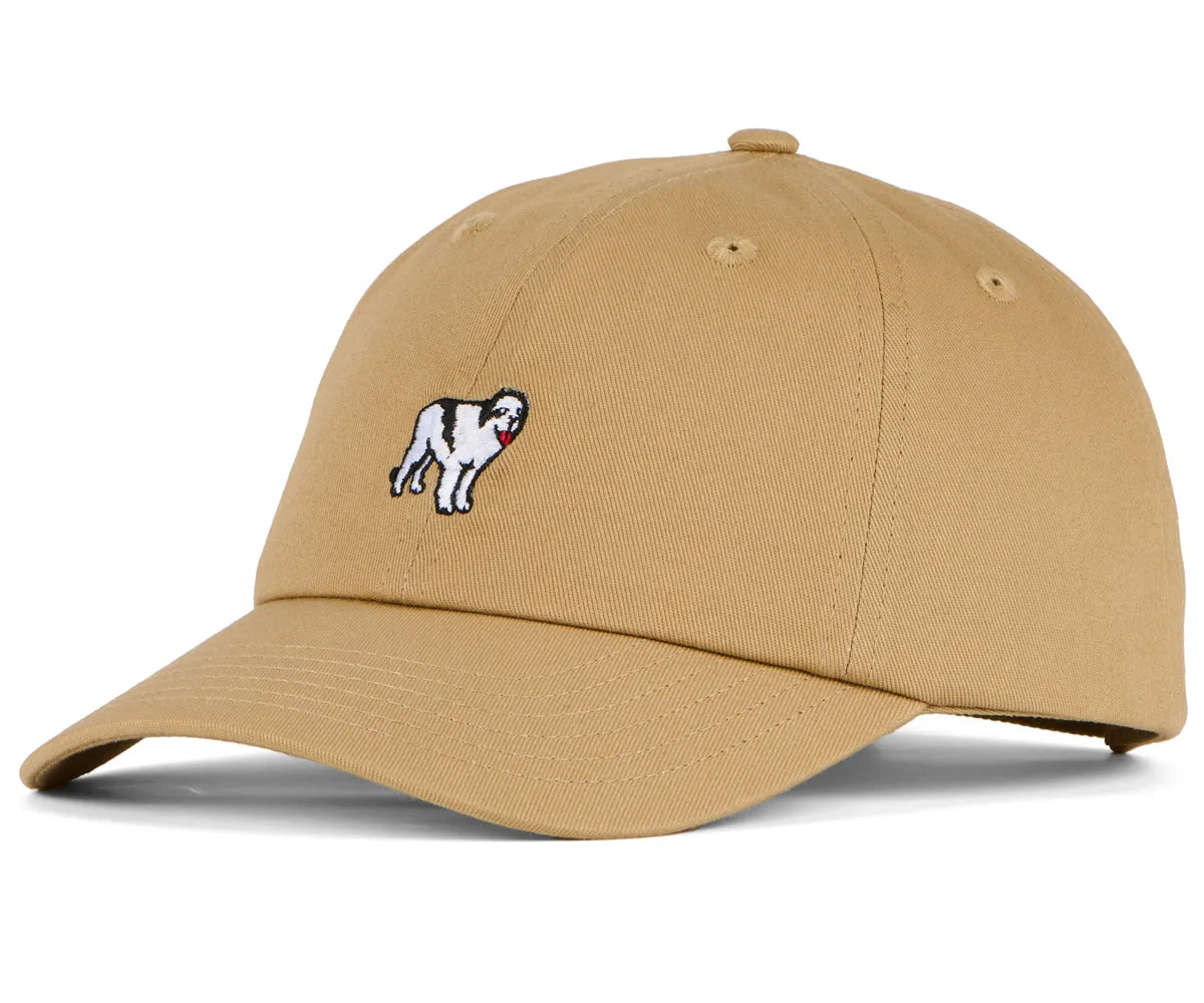 Dog Dad Icon Hat