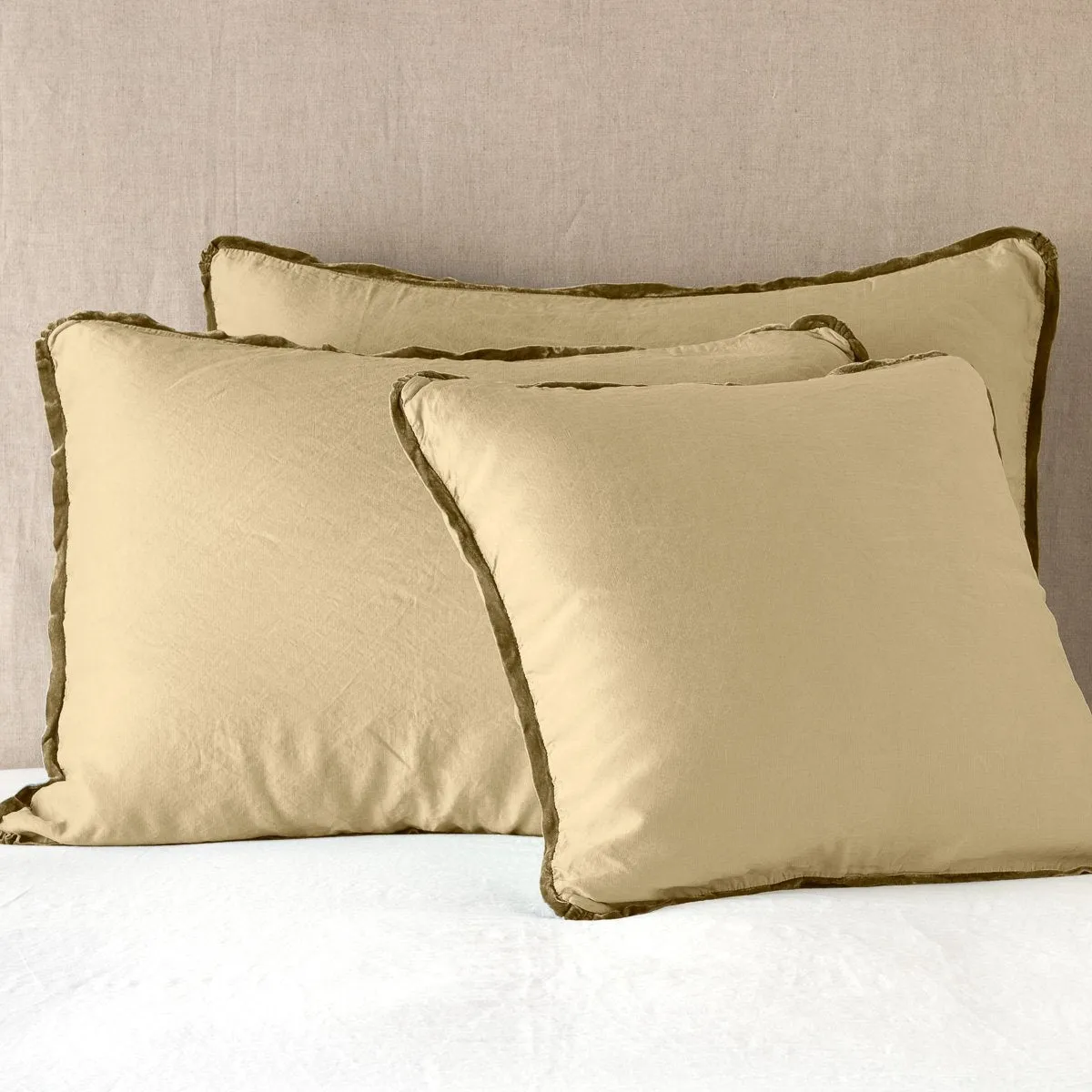 Paloma Sham