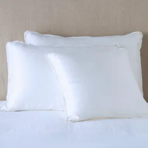 Paloma Sham