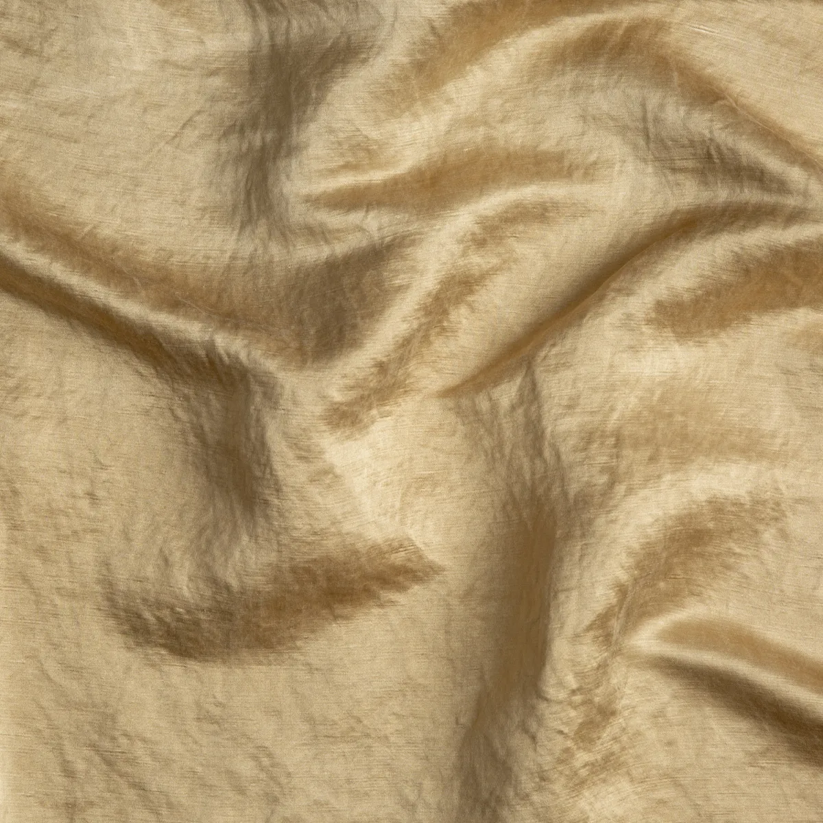 Paloma Sham