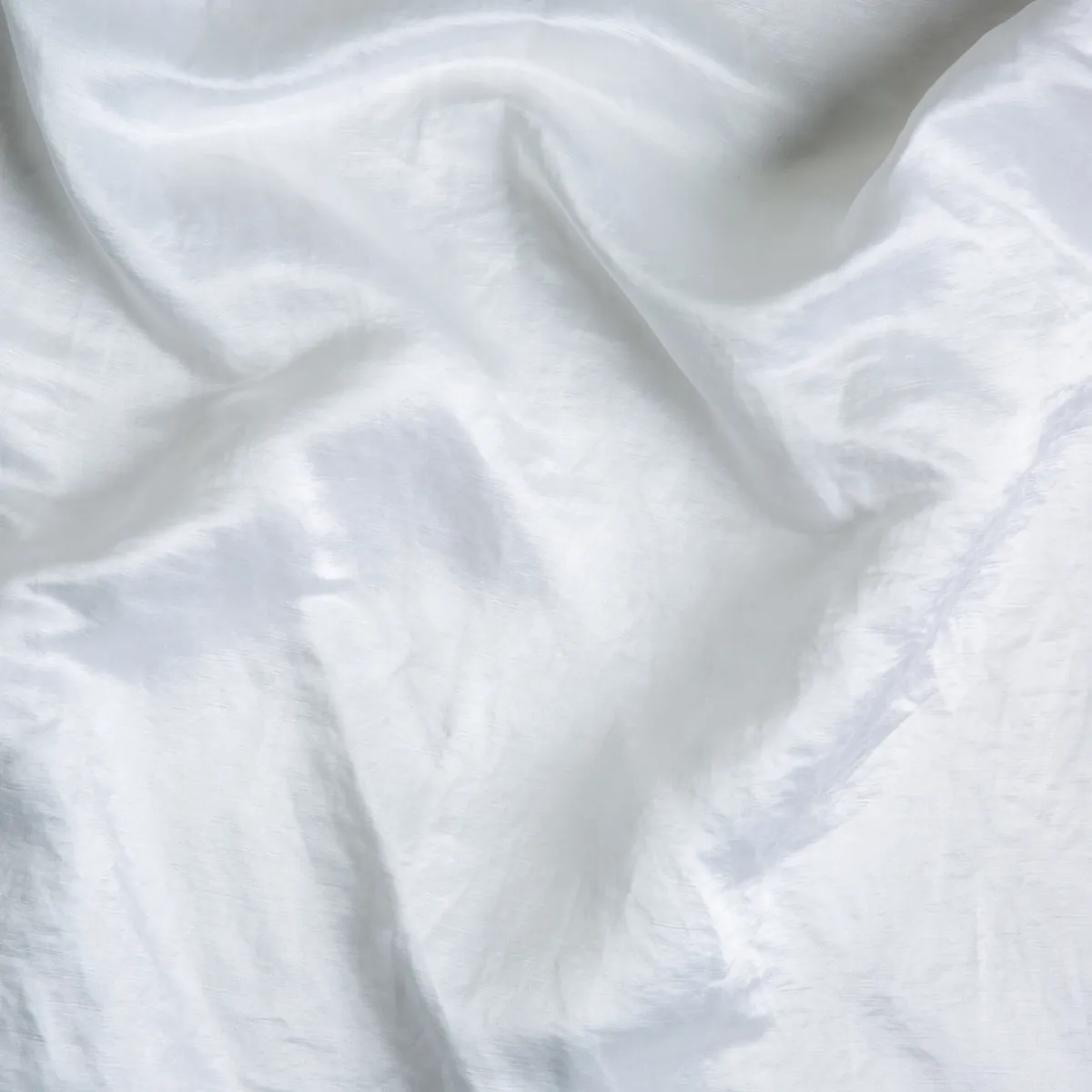 Paloma Sham