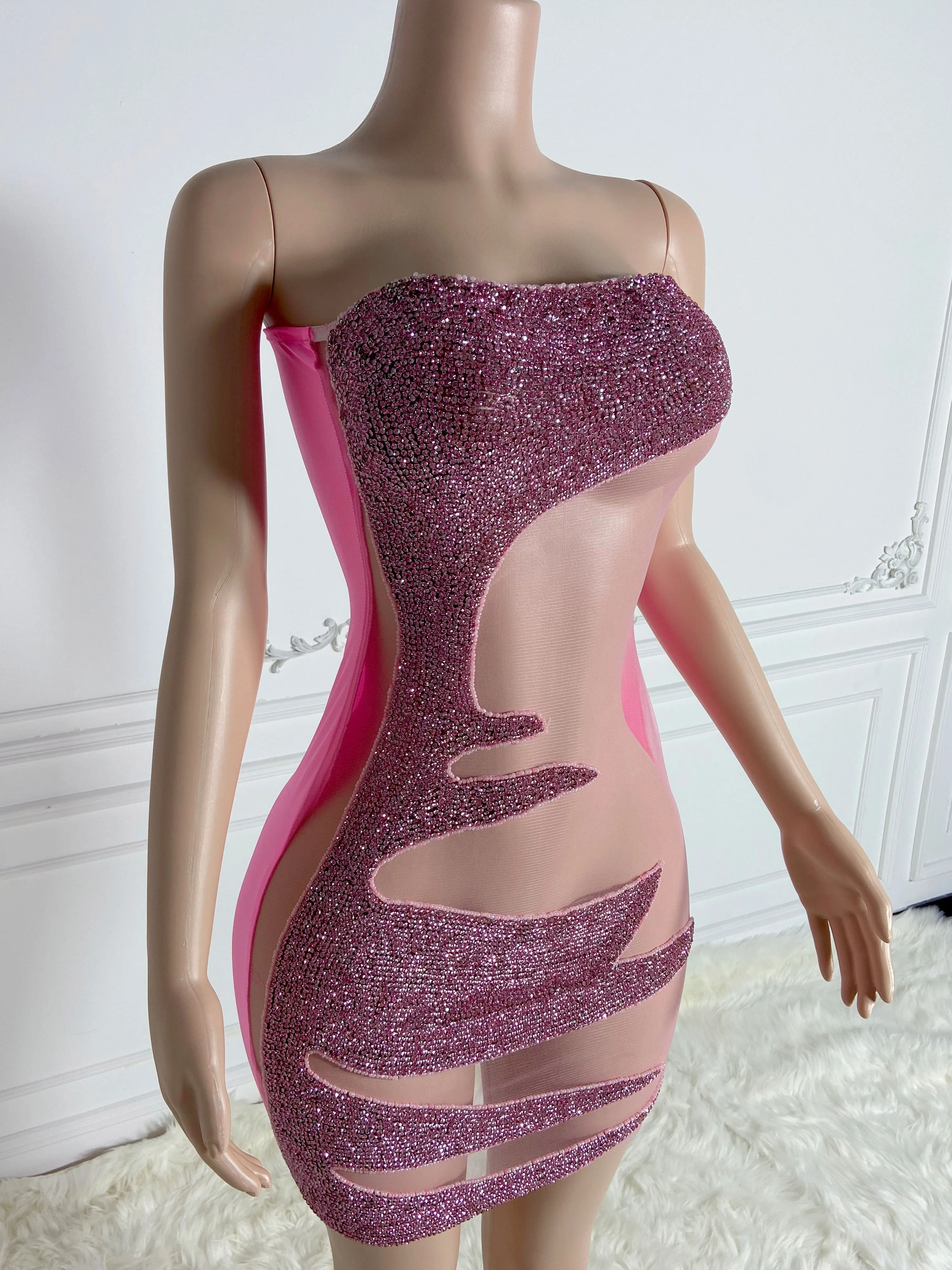 Pink Sheer Zippered Dress
