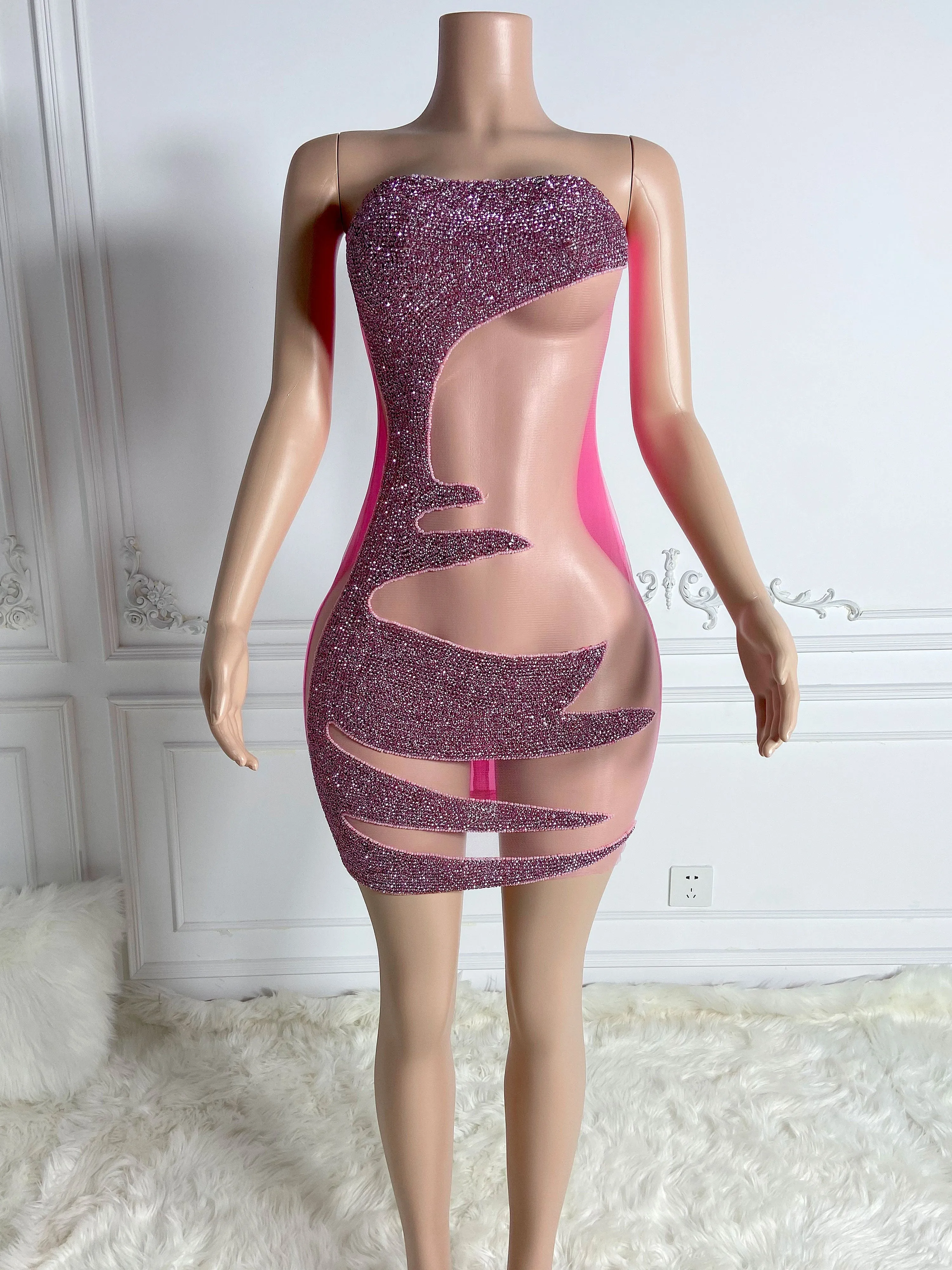 Pink Sheer Zippered Dress