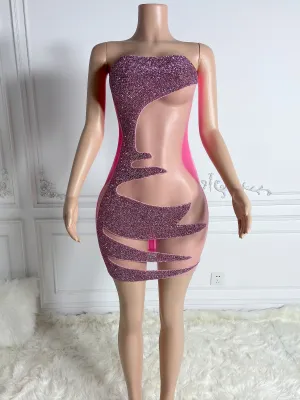 Pink Sheer Zippered Dress
