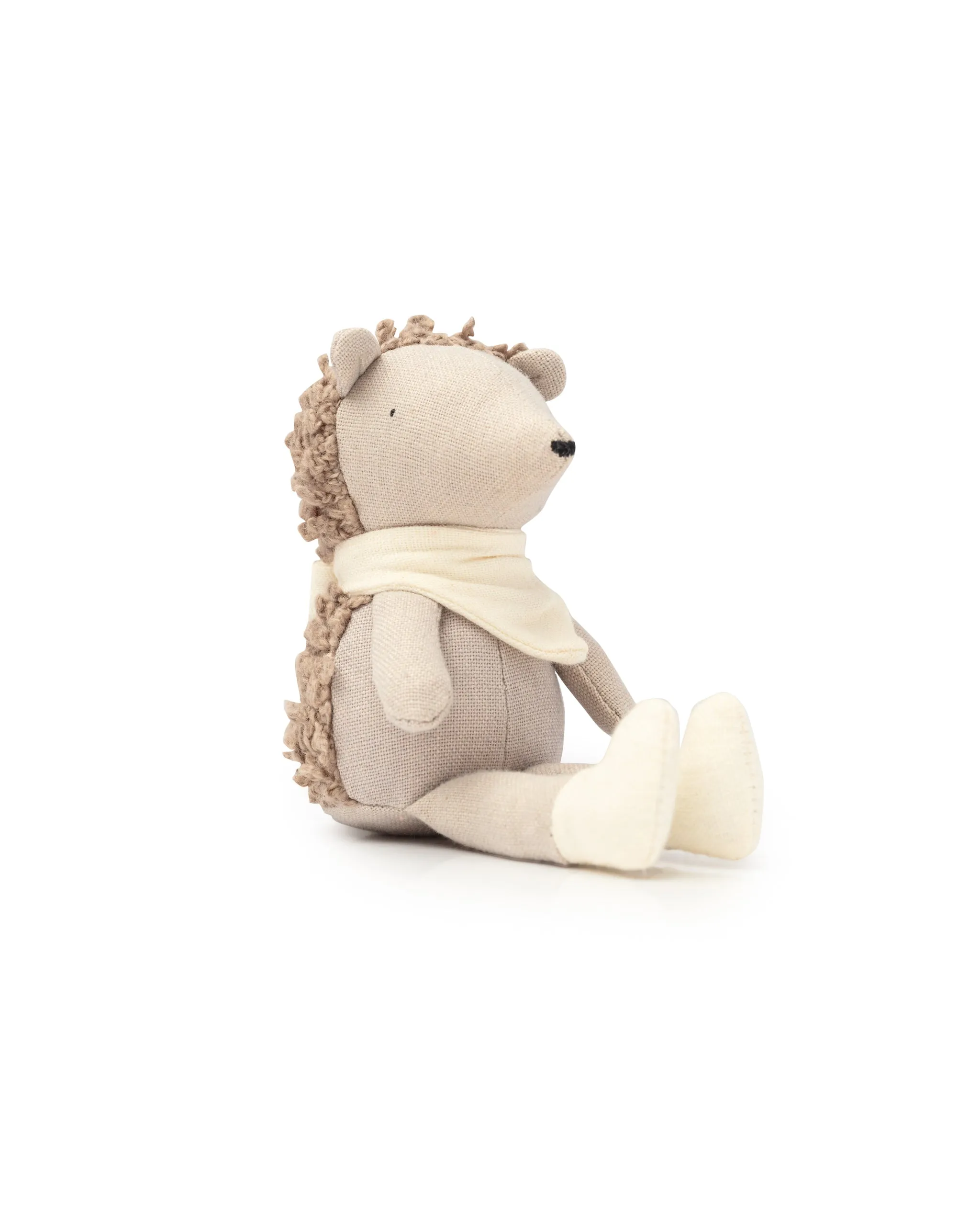 Poppet The Baby Hedgehog