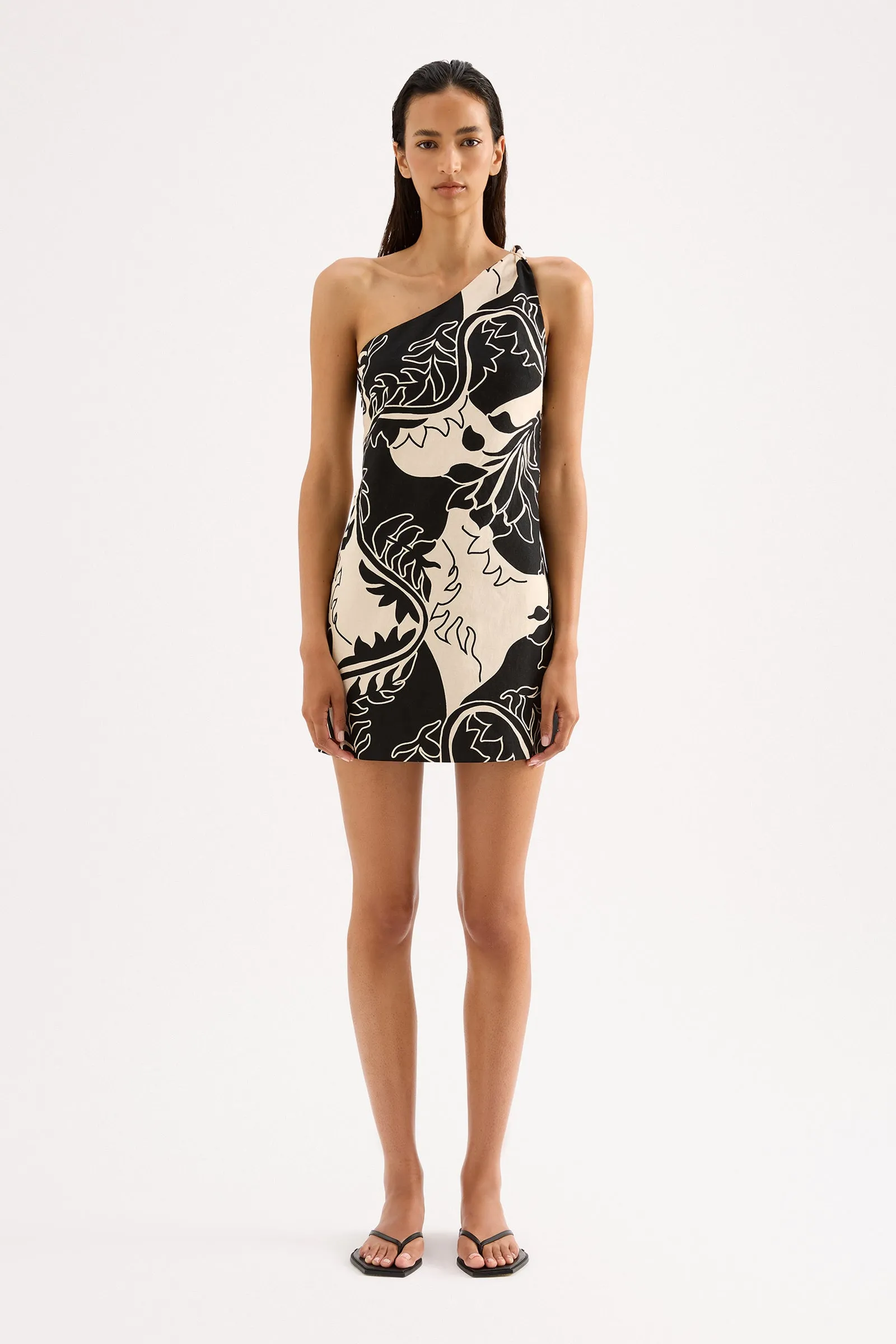 SALVADOR MINI DRESS
