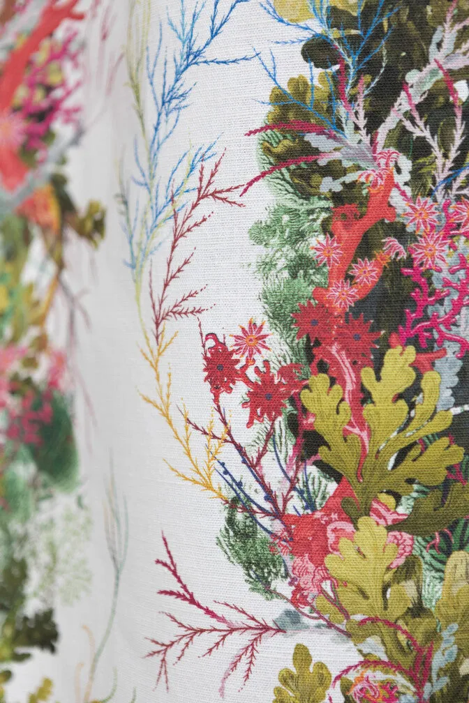 seaweed column fabric
