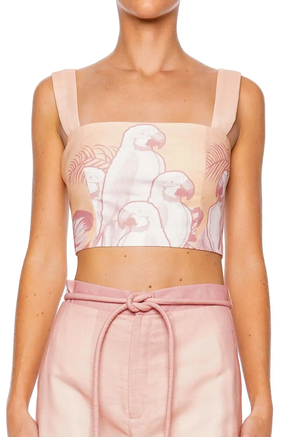 Sotavento Coral Macaw Crop Top