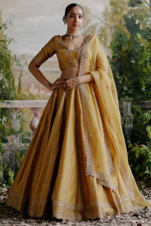 Tuscany Mustard Lehenga Set
